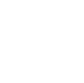 Legal Organization